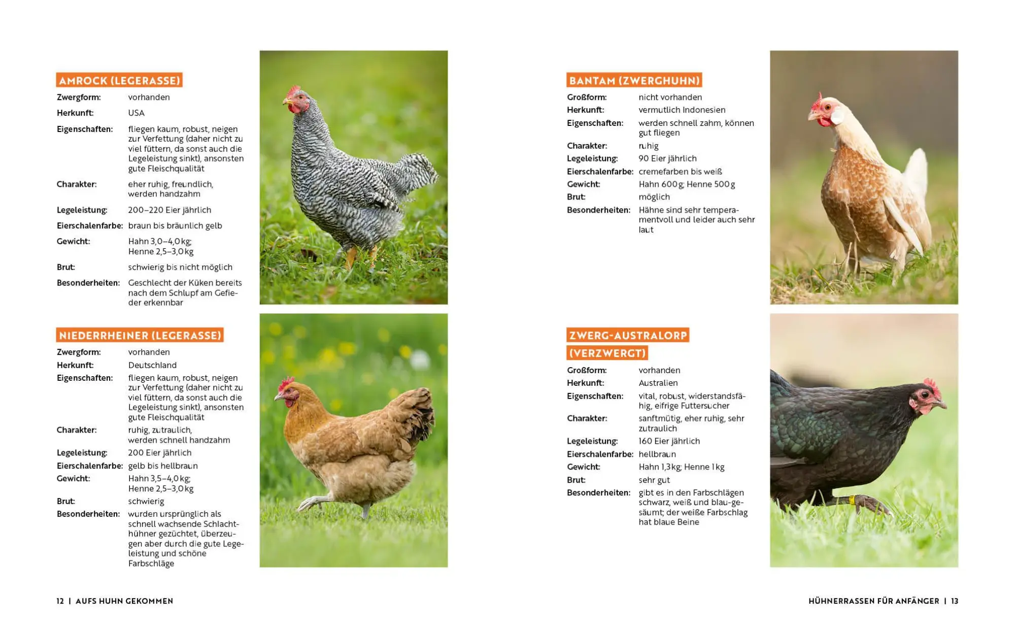 Bild: 9783745925579 | Gartenmomente: Hühner | Jakob Eggenhofer | Buch | 64 S. | Deutsch
