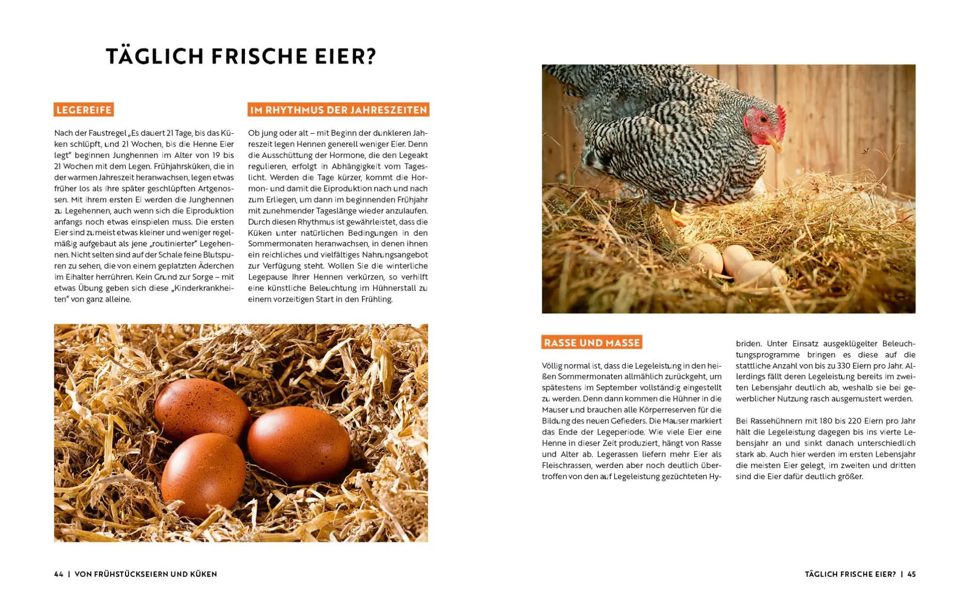 Bild: 9783745925579 | Gartenmomente: Hühner | Jakob Eggenhofer | Buch | 64 S. | Deutsch