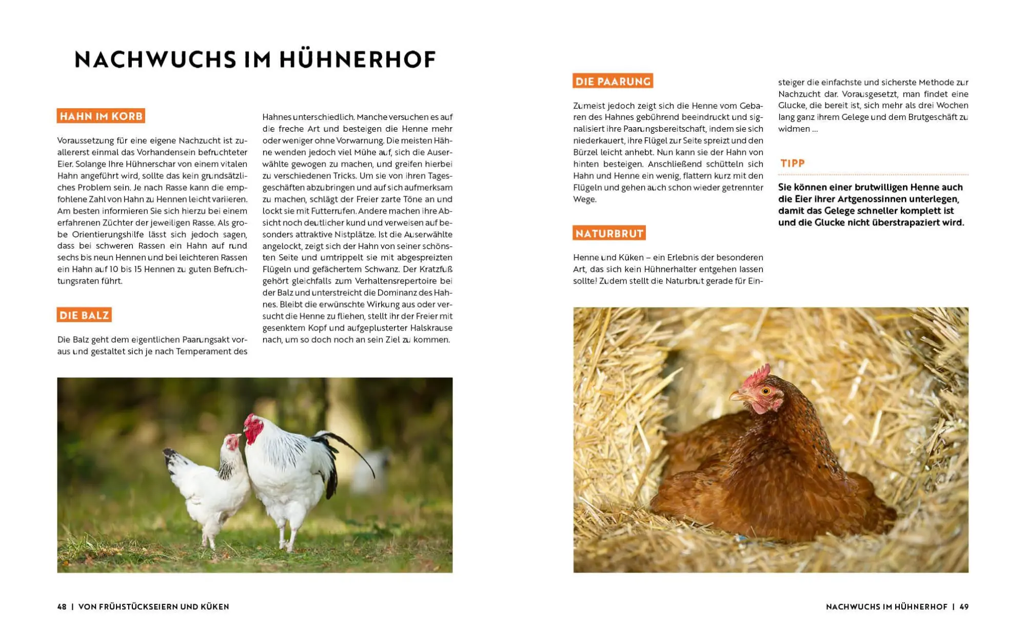Bild: 9783745925579 | Gartenmomente: Hühner | Jakob Eggenhofer | Buch | 64 S. | Deutsch