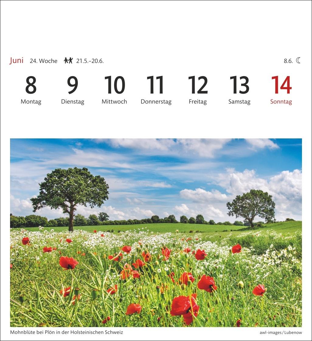 Bild: 9783840035579 | Deutschland Sehnsuchtskalender 2026 - Wochenkalender mit 53 Postkarten