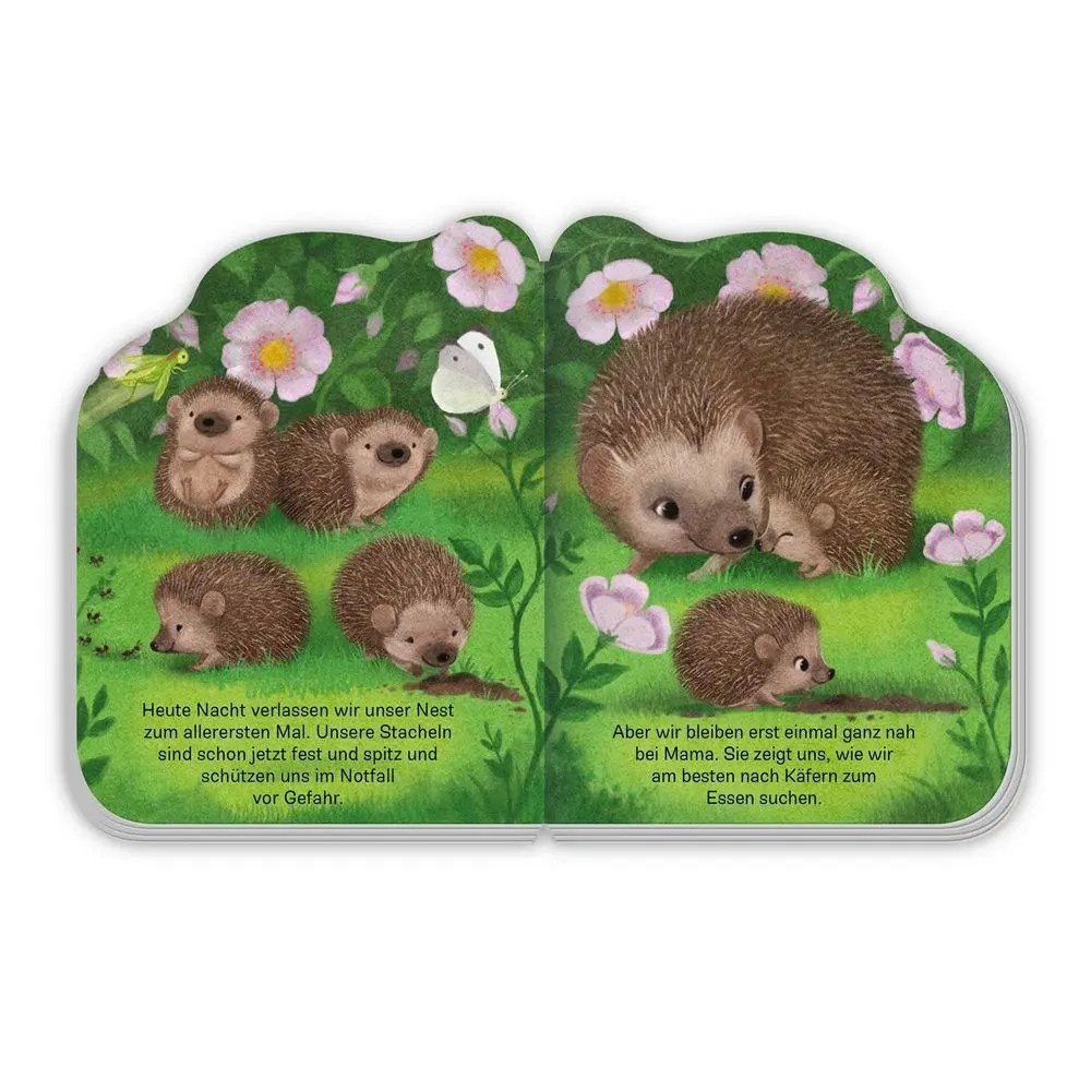 Bild: 9783988025579 | TRÖTSCH - Pappenbuch Der kleine Igel Ab 1 Jahr | KG | Buch | 10 S.