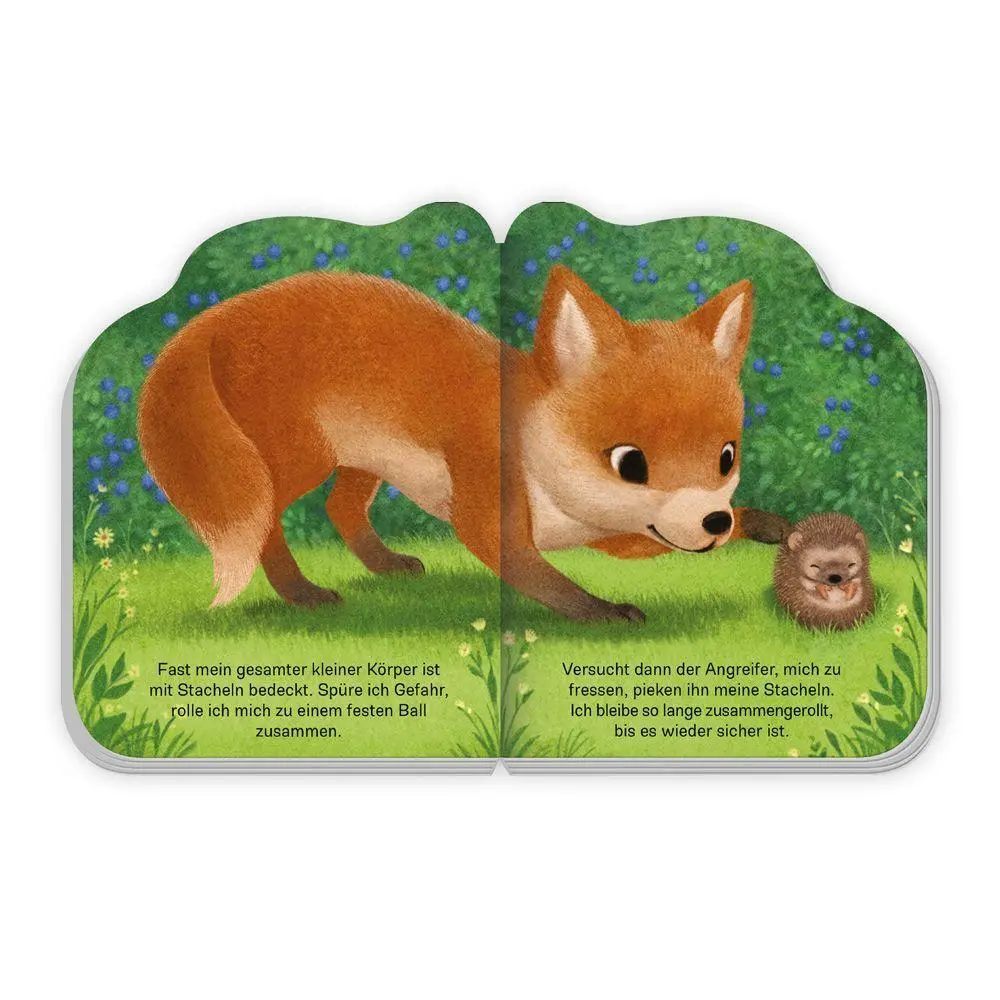Bild: 9783988025579 | TRÖTSCH - Pappenbuch Der kleine Igel Ab 1 Jahr | KG | Buch | 10 S.