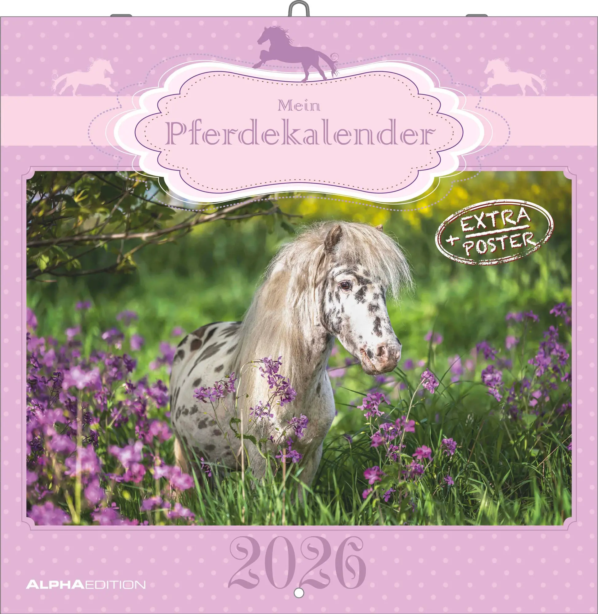 Cover: 4069095005679 | Mein Pferdekalender 2026 - Broschürenkalender 30x30 cm (30x60...