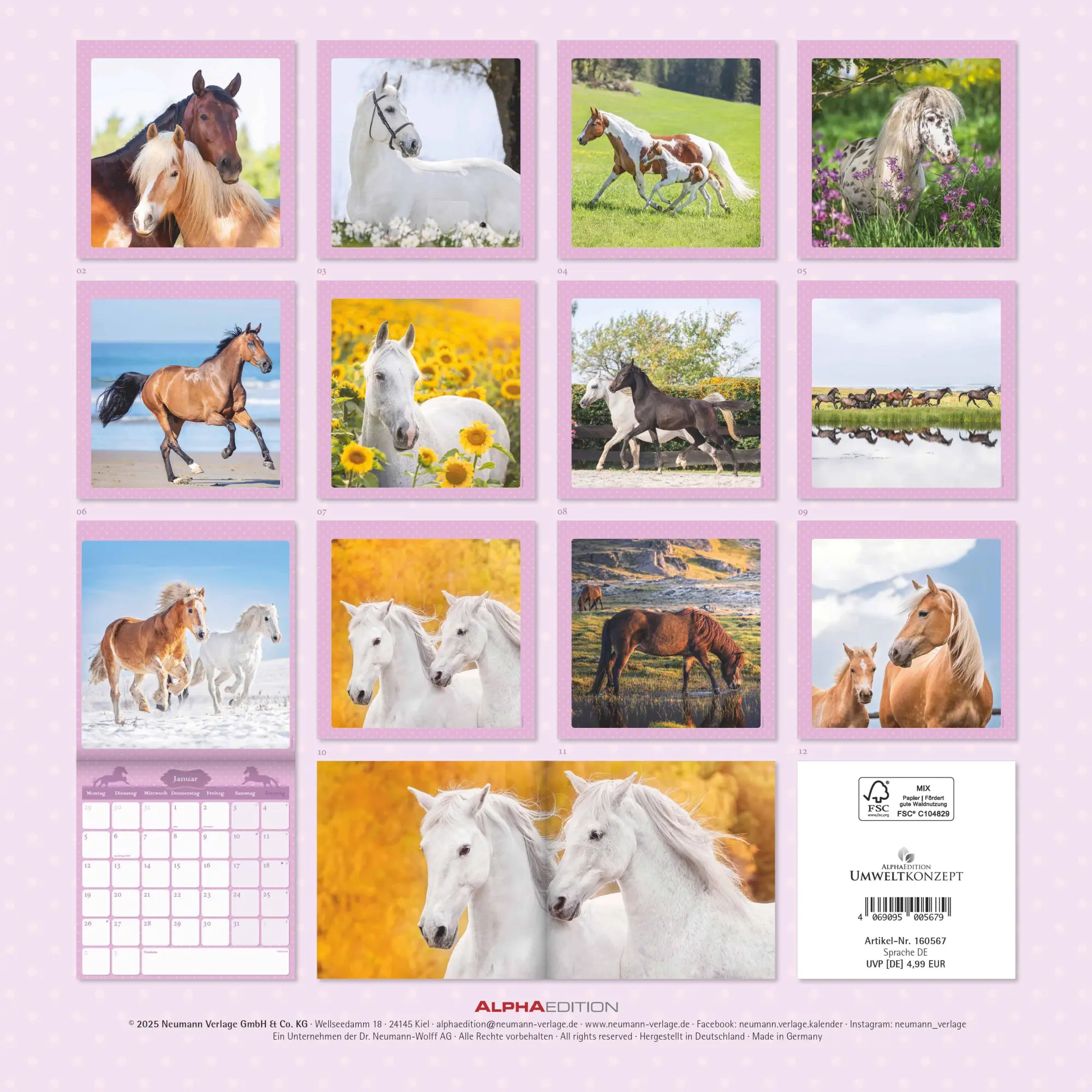 Rückseite: 4069095005679 | Mein Pferdekalender 2026 - Broschürenkalender 30x30 cm (30x60...