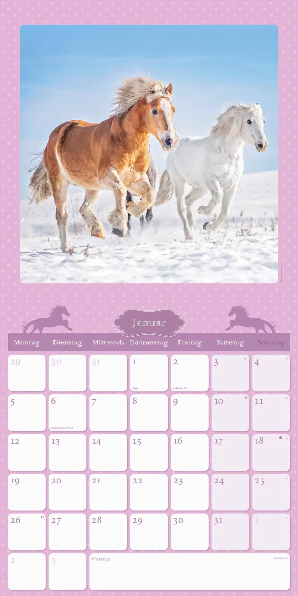 Bild: 4069095005679 | Mein Pferdekalender 2026 - Broschürenkalender 30x30 cm (30x60...
