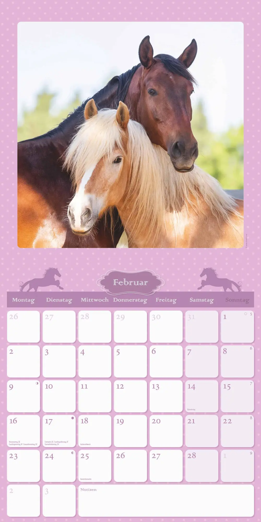 Bild: 4069095005679 | Mein Pferdekalender 2026 - Broschürenkalender 30x30 cm (30x60...