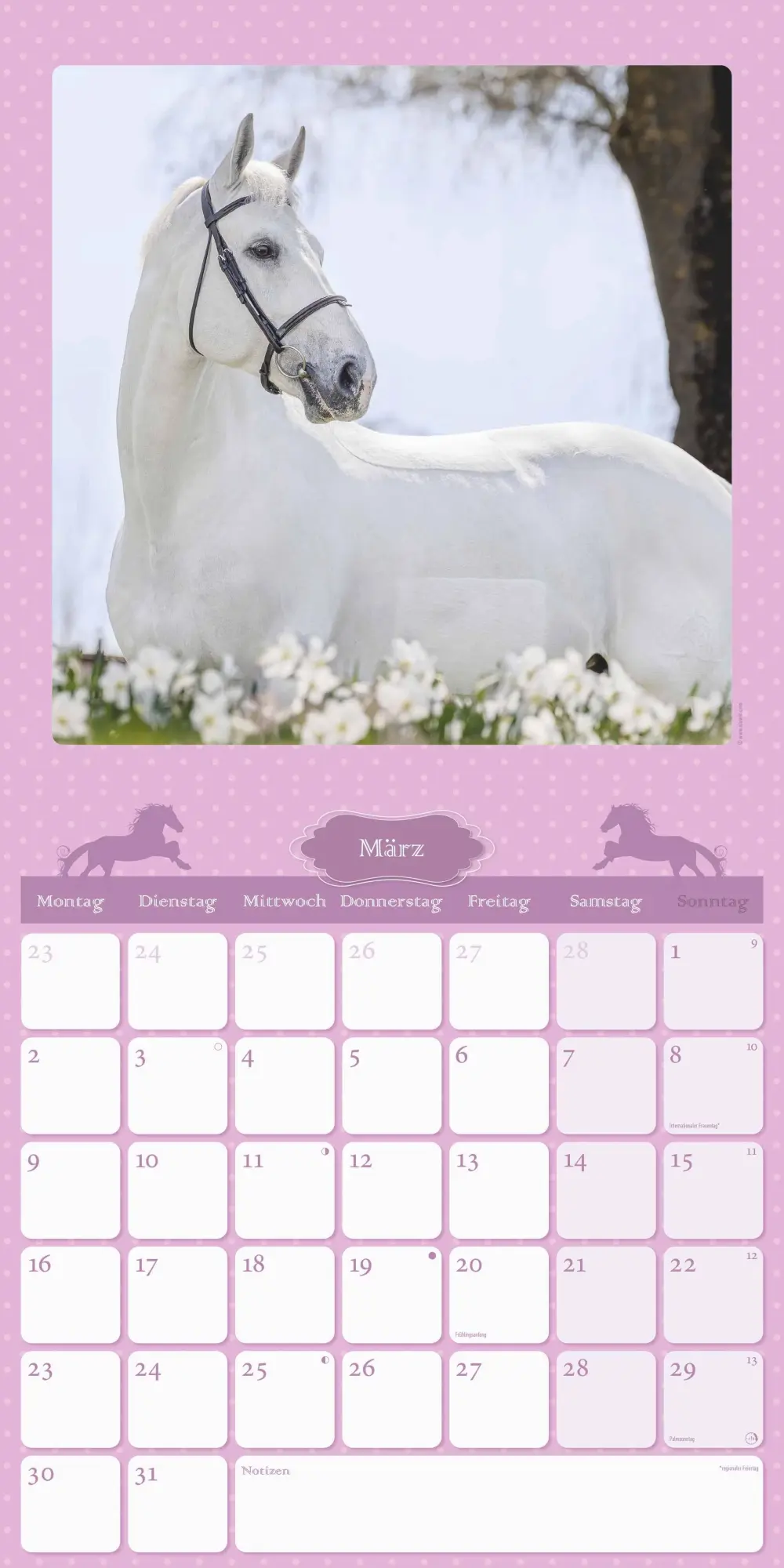 Bild: 4069095005679 | Mein Pferdekalender 2026 - Broschürenkalender 30x30 cm (30x60...