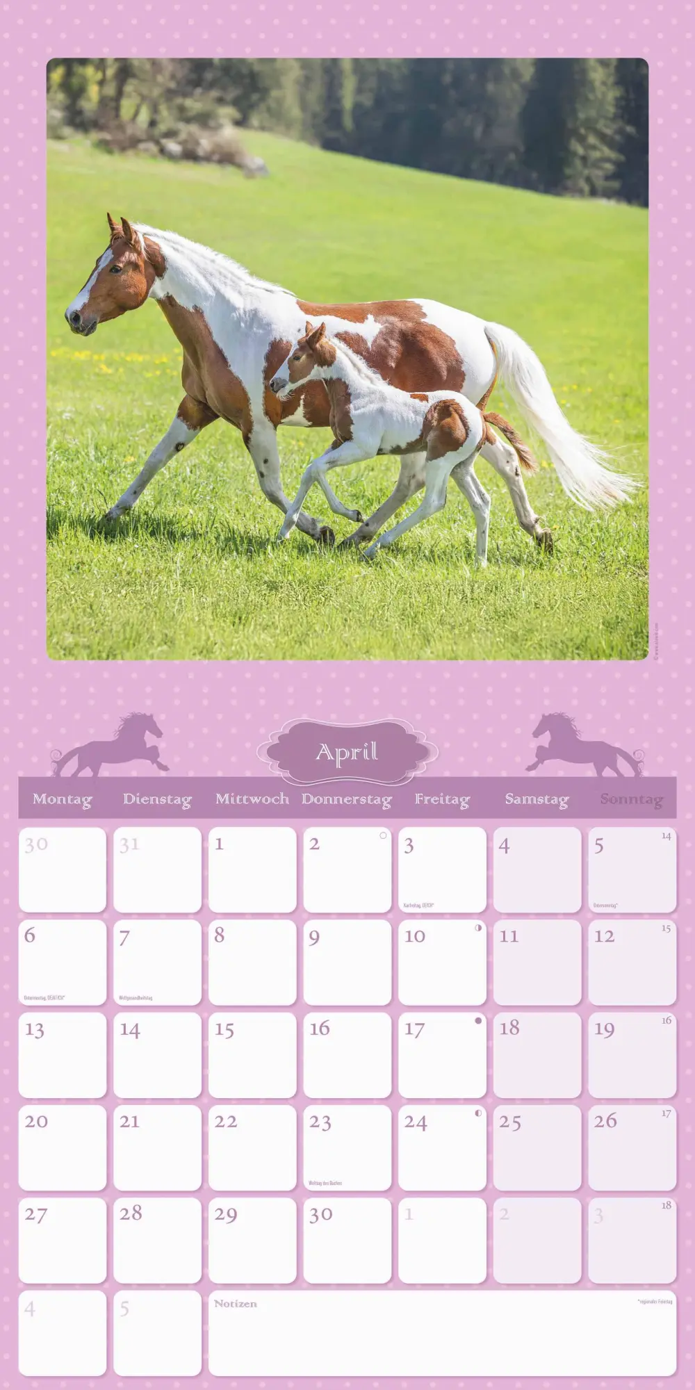 Bild: 4069095005679 | Mein Pferdekalender 2026 - Broschürenkalender 30x30 cm (30x60...