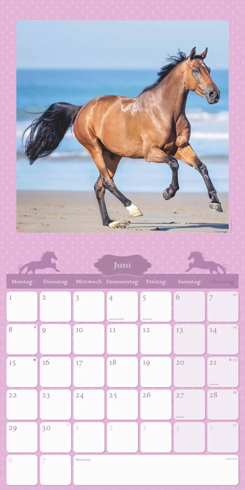 Bild: 4069095005679 | Mein Pferdekalender 2026 - Broschürenkalender 30x30 cm (30x60...