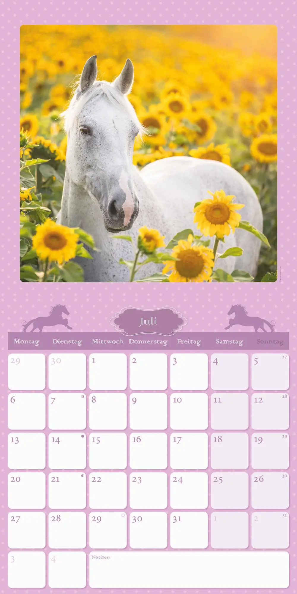 Bild: 4069095005679 | Mein Pferdekalender 2026 - Broschürenkalender 30x30 cm (30x60...