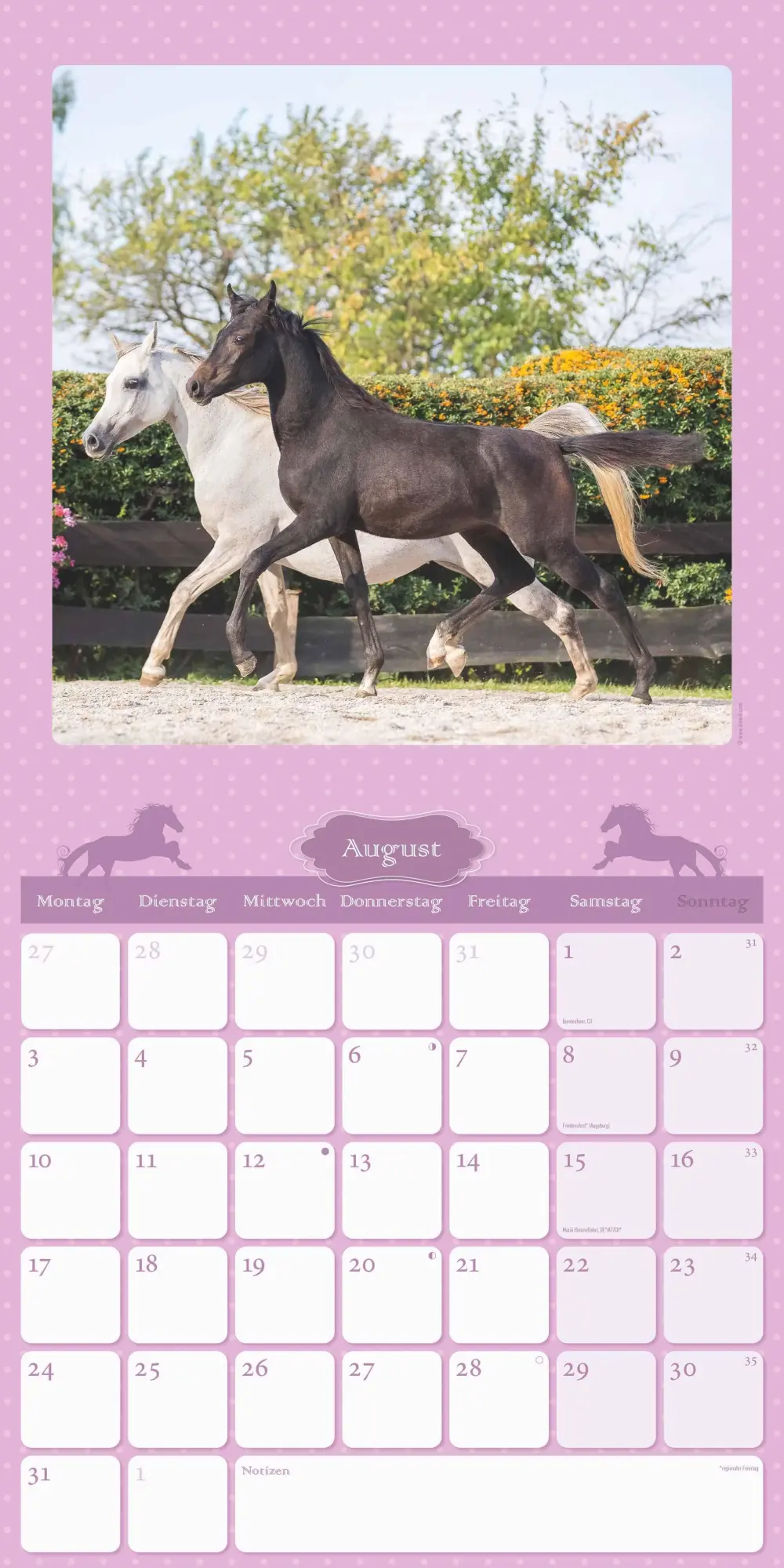 Bild: 4069095005679 | Mein Pferdekalender 2026 - Broschürenkalender 30x30 cm (30x60...