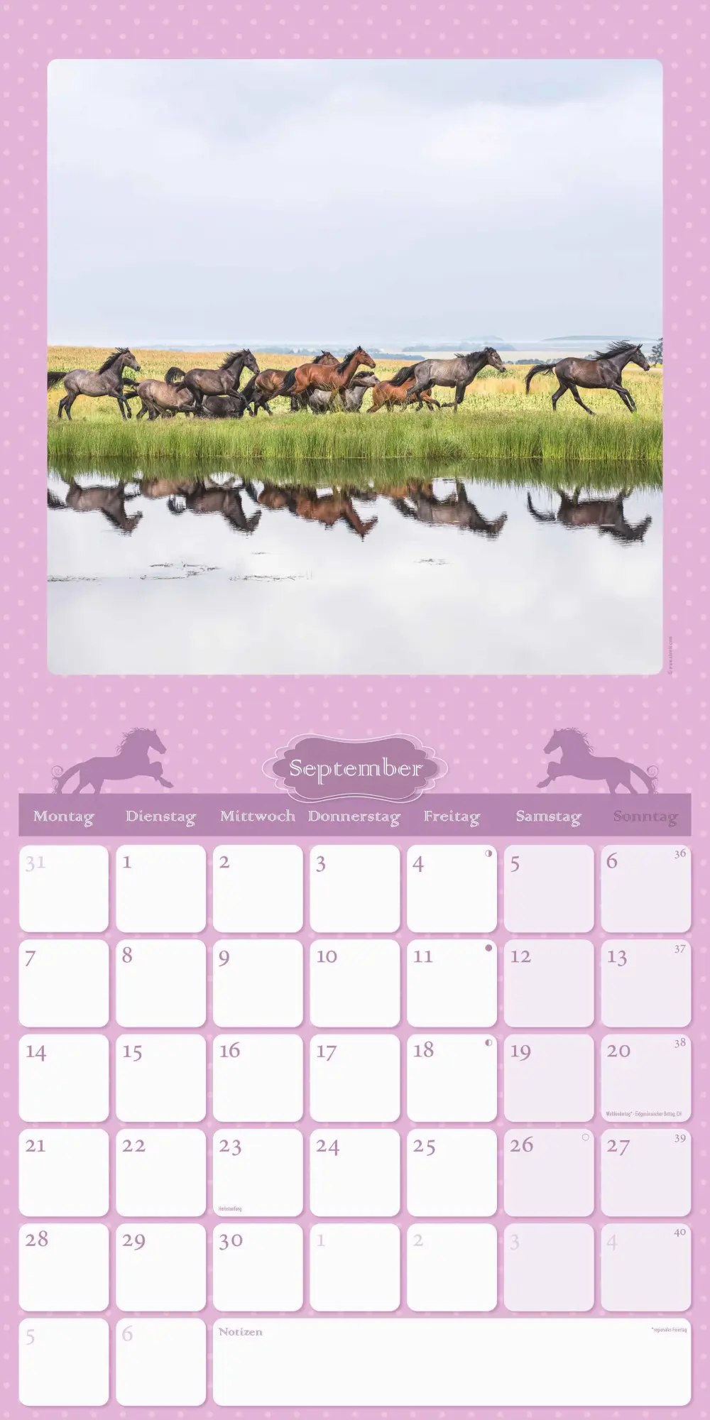 Bild: 4069095005679 | Mein Pferdekalender 2026 - Broschürenkalender 30x30 cm (30x60...