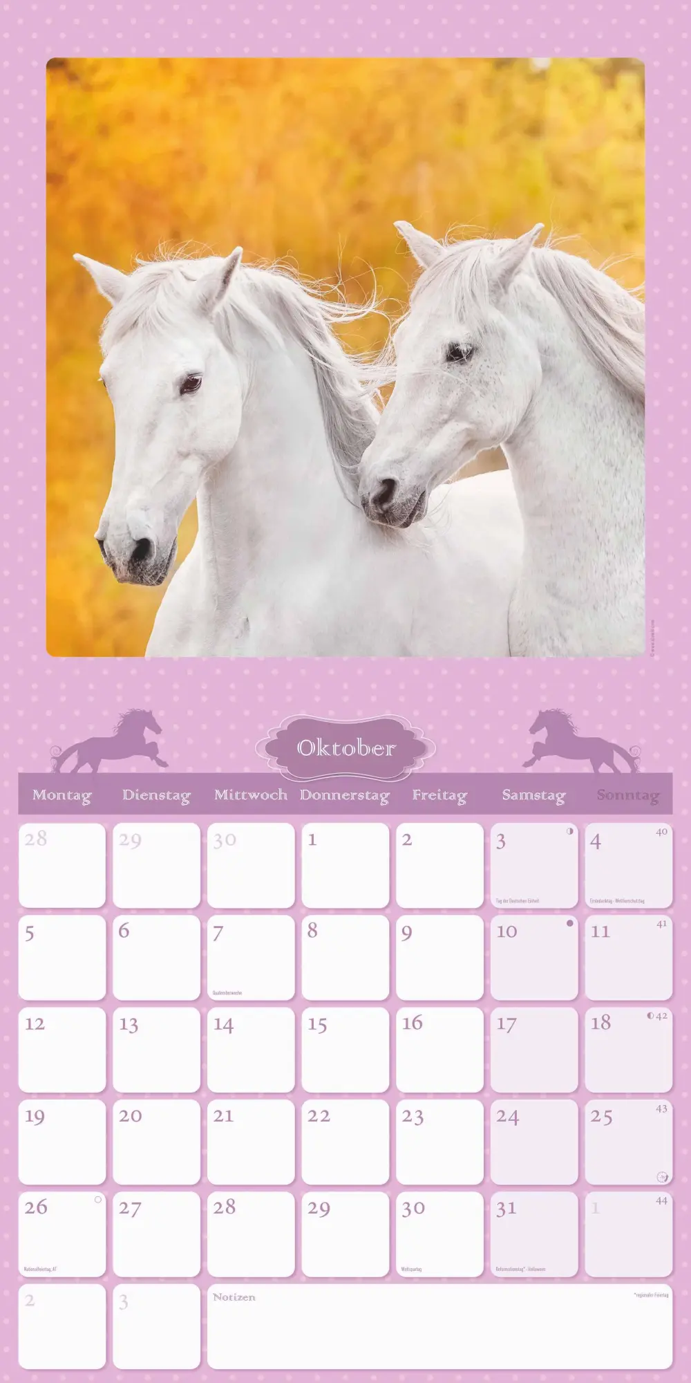 Bild: 4069095005679 | Mein Pferdekalender 2026 - Broschürenkalender 30x30 cm (30x60...
