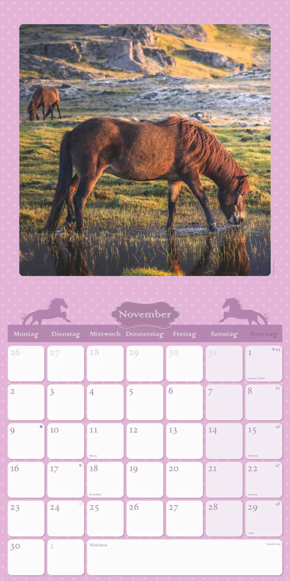 Bild: 4069095005679 | Mein Pferdekalender 2026 - Broschürenkalender 30x30 cm (30x60...