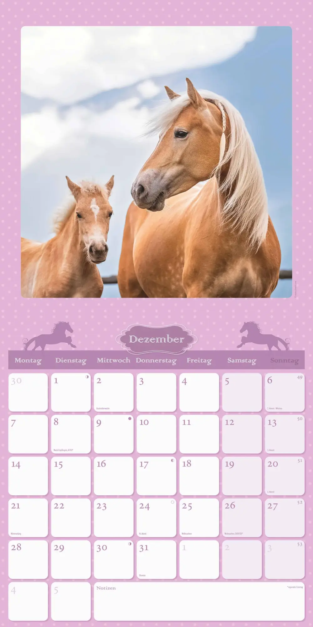 Bild: 4069095005679 | Mein Pferdekalender 2026 - Broschürenkalender 30x30 cm (30x60...
