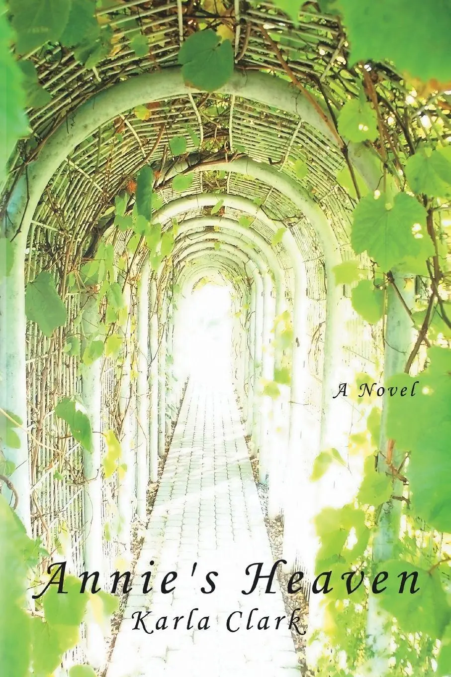Cover: 9781438905679 | Annie's Heaven | Karla Clark | Taschenbuch | Kartoniert / Broschiert