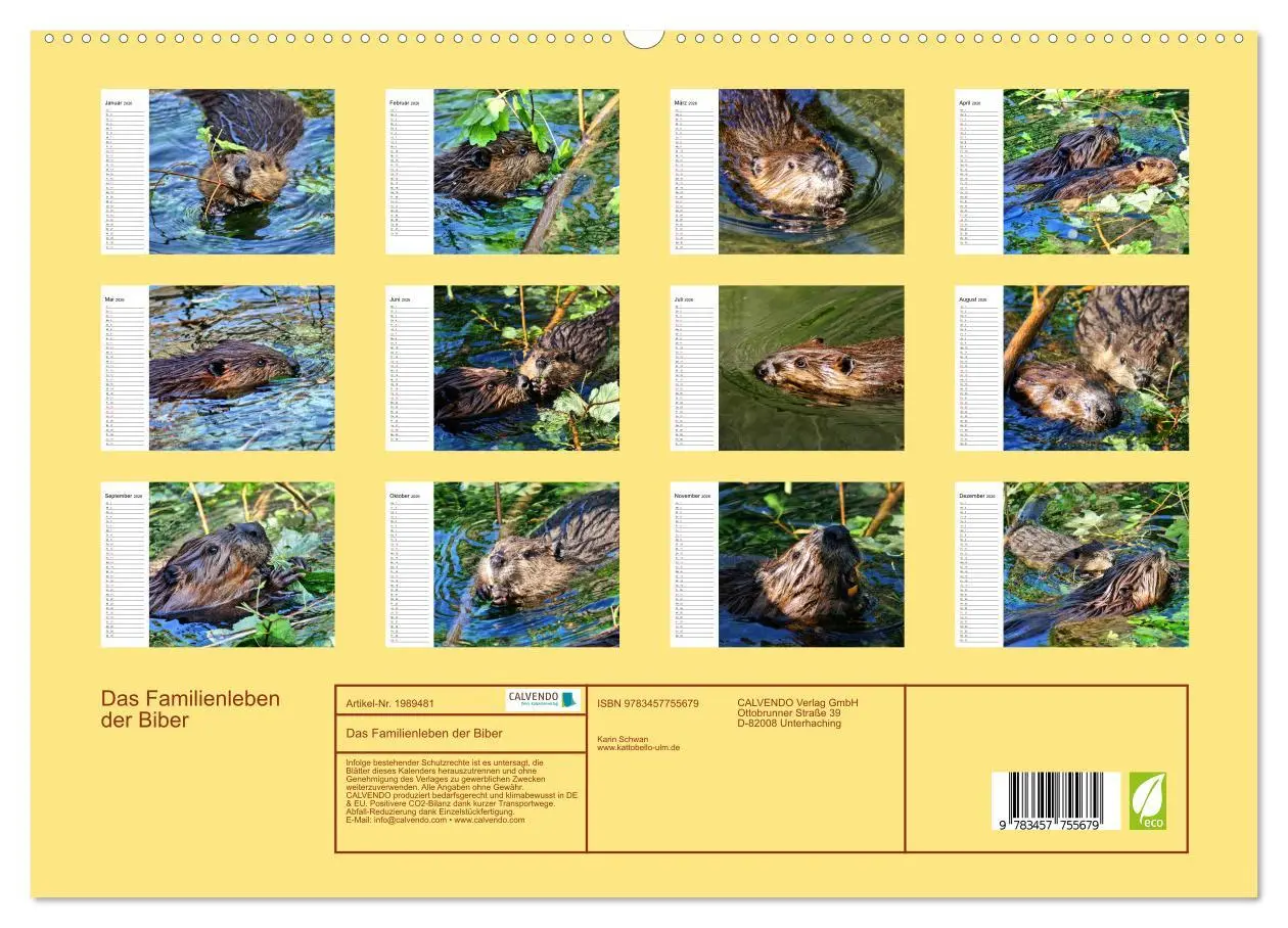 Bild: 9783457755679 | Das Familienleben der Biber (hochwertiger Premium Wandkalender 2026...