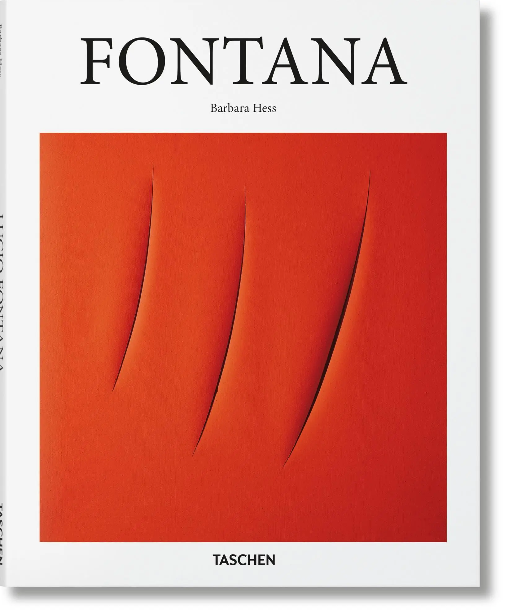 Cover: 9783836545679 | Fontana | Barbara Hess | Buch | Basic Art Series | Hardcover | 96 S.