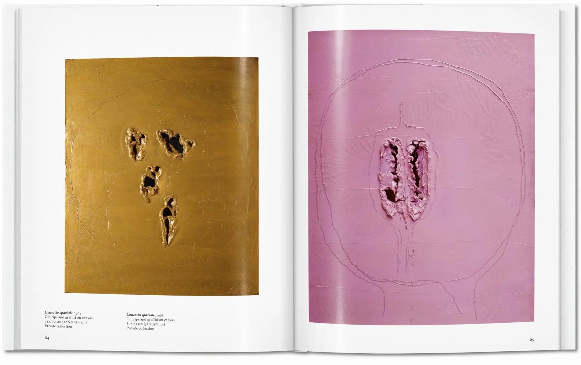 Bild: 9783836545679 | Fontana | Barbara Hess | Buch | Basic Art Series | Hardcover | 96 S.