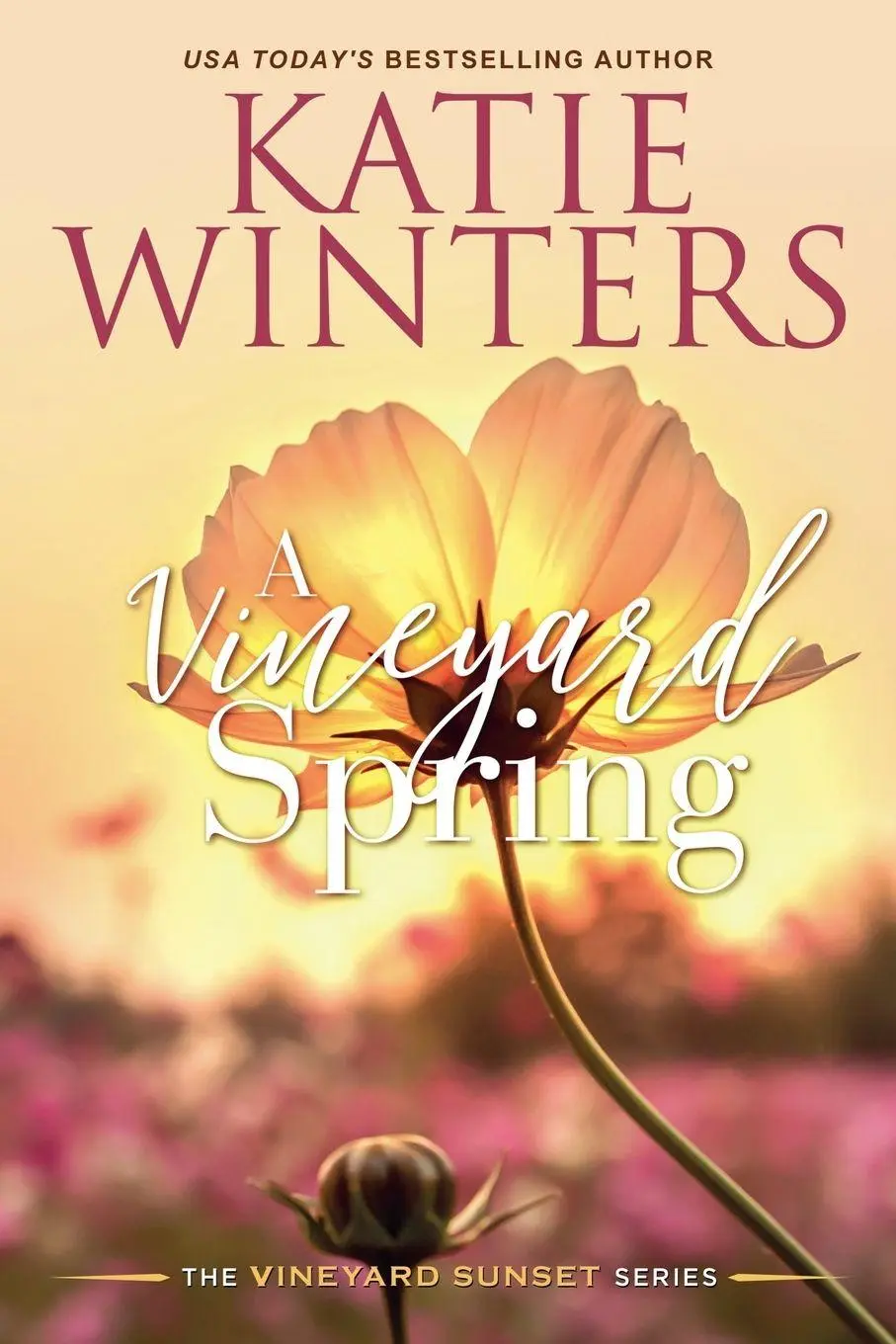 Cover: 9798215065679 | A Vineyard Spring | Katie Winters | Taschenbuch | Englisch | 2023