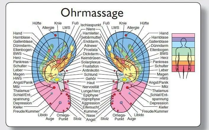 Cover: 9783442345779 | Reflexzonenmassagekarte "Ohr" | Verpackungseinheit enthält 25 Karten