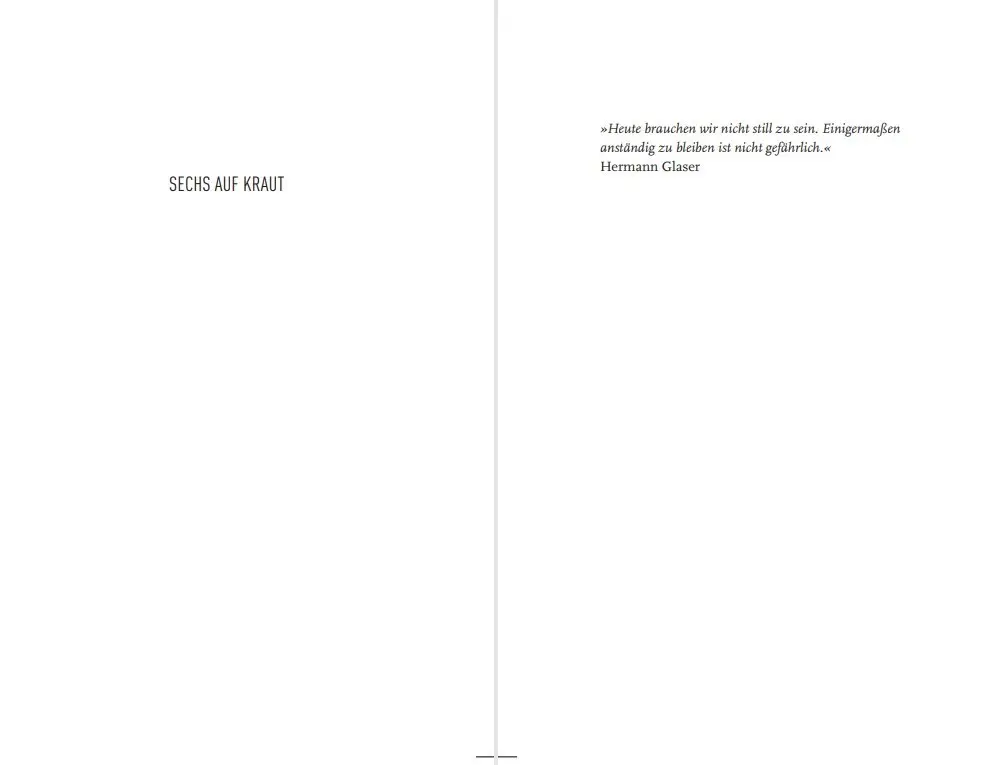 Bild: 9783869135779 | Sechs auf Kraut | Paul Flemmings zehnter Fall | Jan Beinßen | Buch