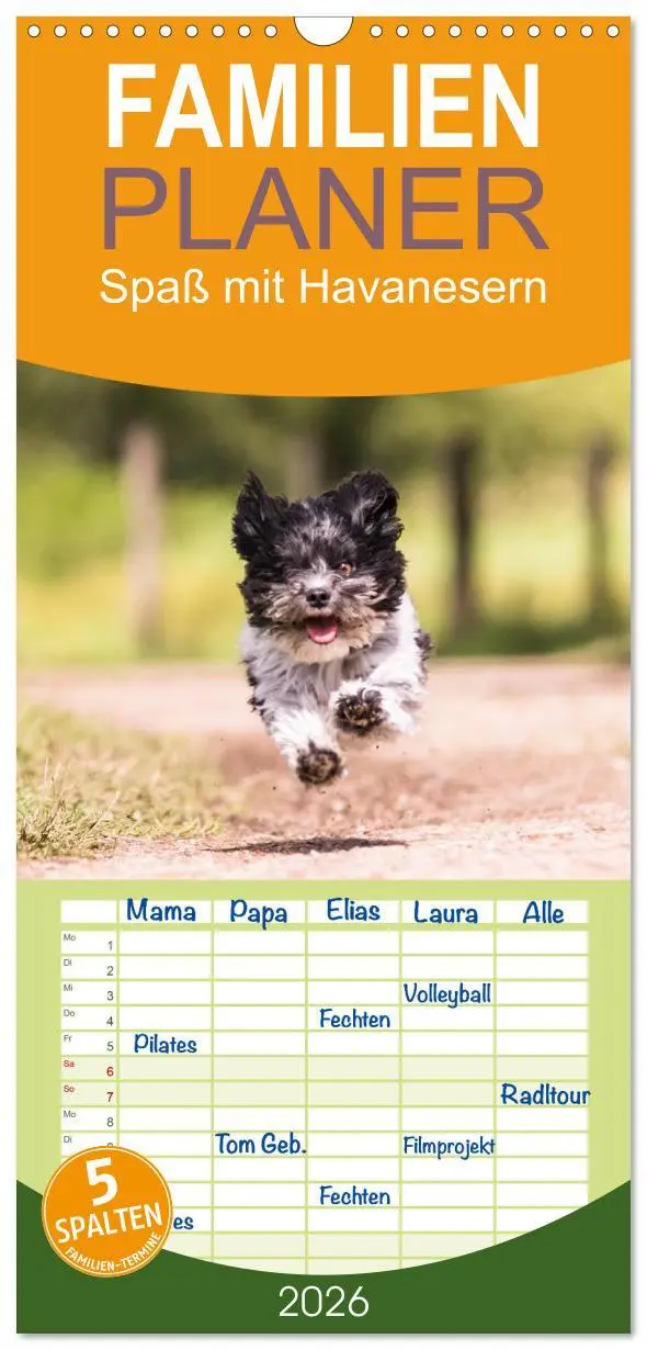 Cover: 9783516515879 | Familienplaner 2026 - Spaß mit Havanesern mit 5 Spalten...