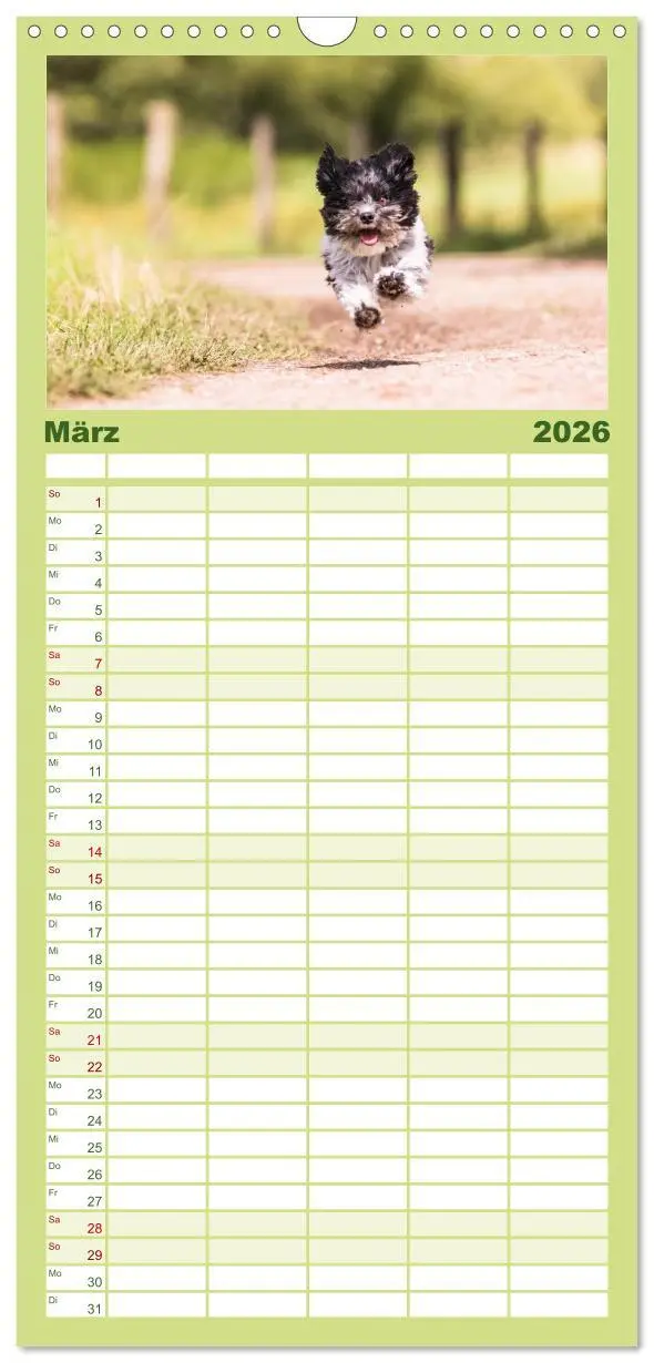 Bild: 9783516515879 | Familienplaner 2026 - Spaß mit Havanesern mit 5 Spalten...