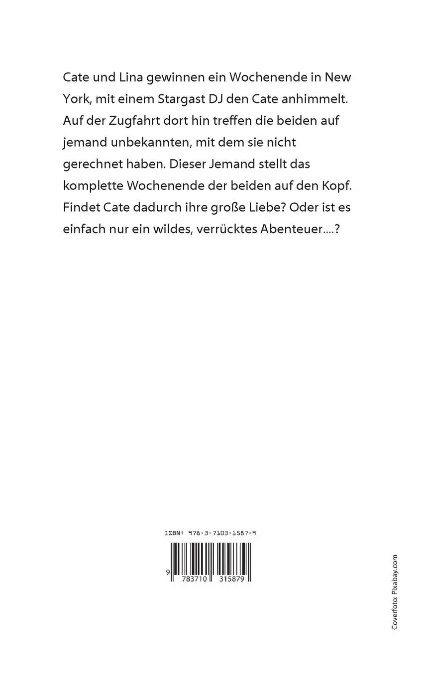 Rückseite: 9783710315879 | Love in New Haven | Julez V. | Taschenbuch | 322 S. | Deutsch | 2024