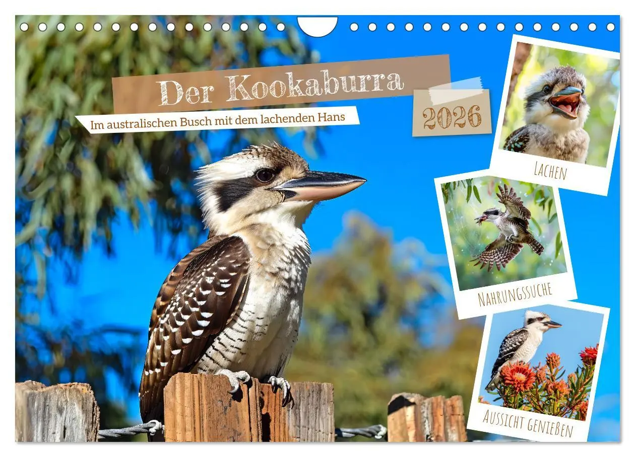 Cover: 9783457345979 | Der Kookaburra - Im australischen Busch mit dem lachenden Hans...