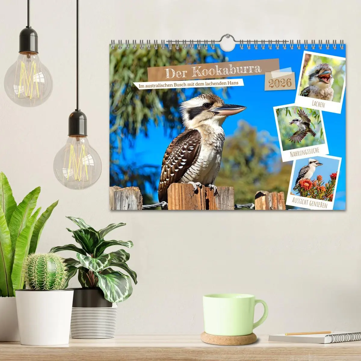 Bild: 9783457345979 | Der Kookaburra - Im australischen Busch mit dem lachenden Hans...