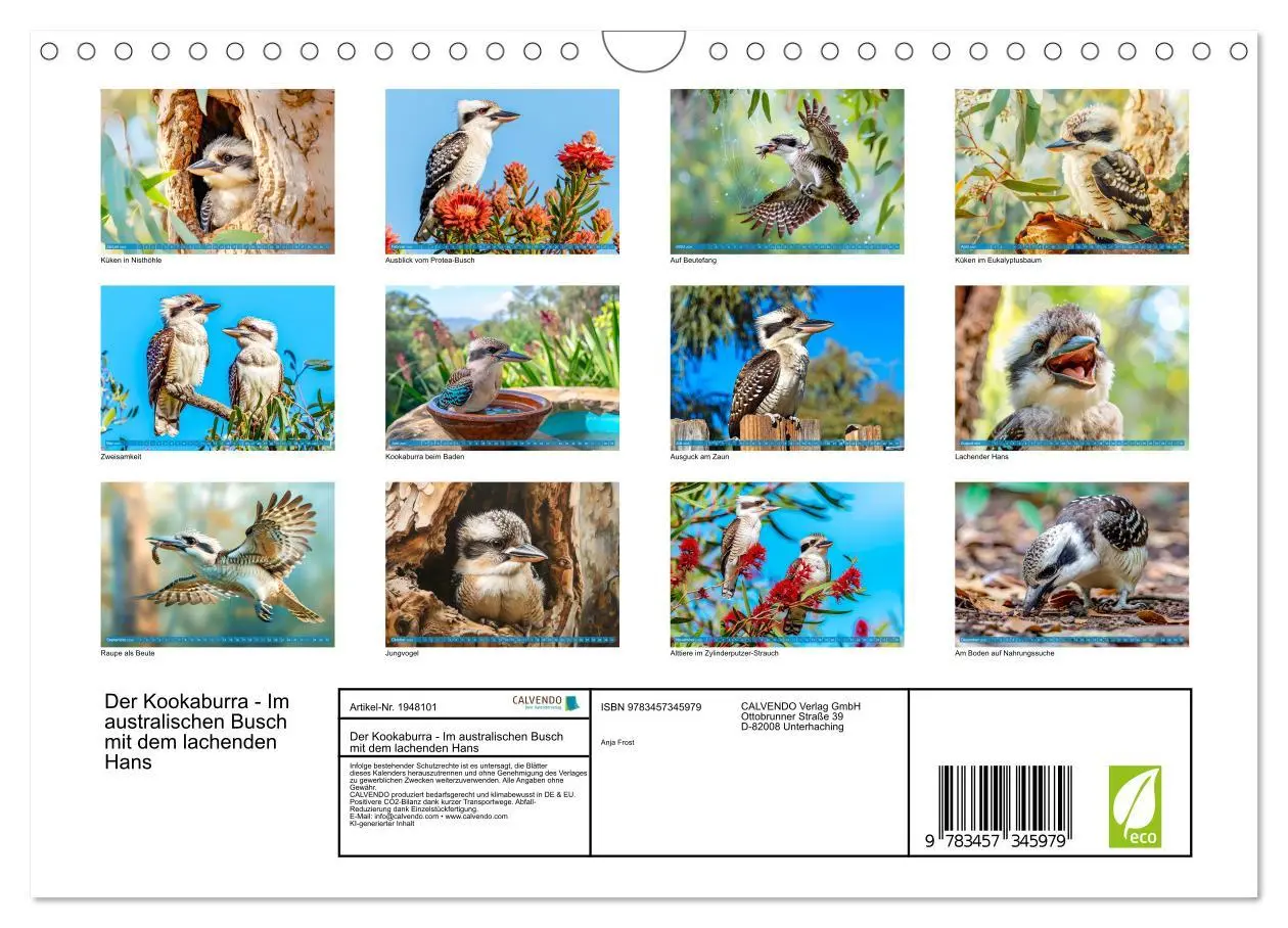 Bild: 9783457345979 | Der Kookaburra - Im australischen Busch mit dem lachenden Hans...