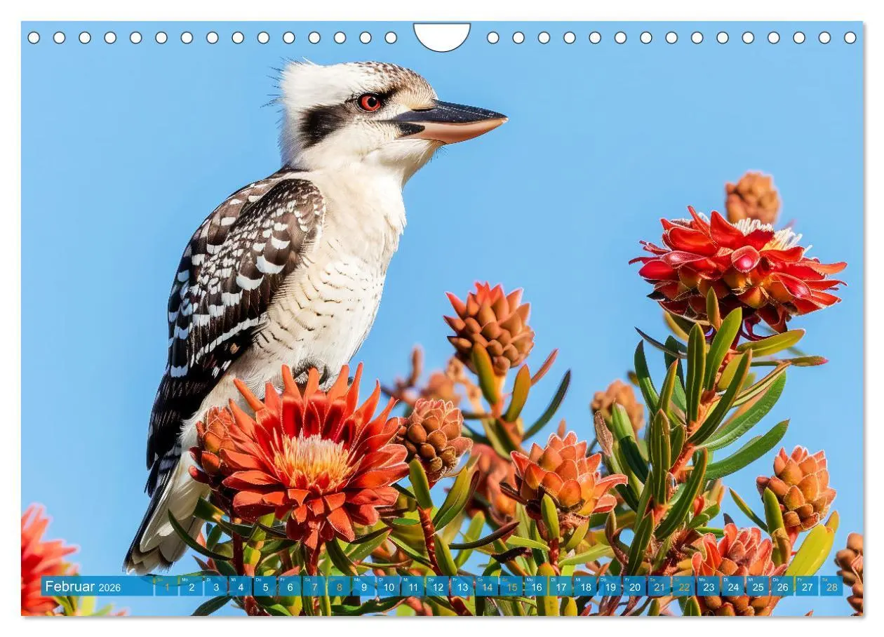 Bild: 9783457345979 | Der Kookaburra - Im australischen Busch mit dem lachenden Hans...