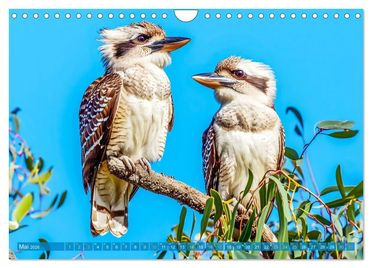 Bild: 9783457345979 | Der Kookaburra - Im australischen Busch mit dem lachenden Hans...