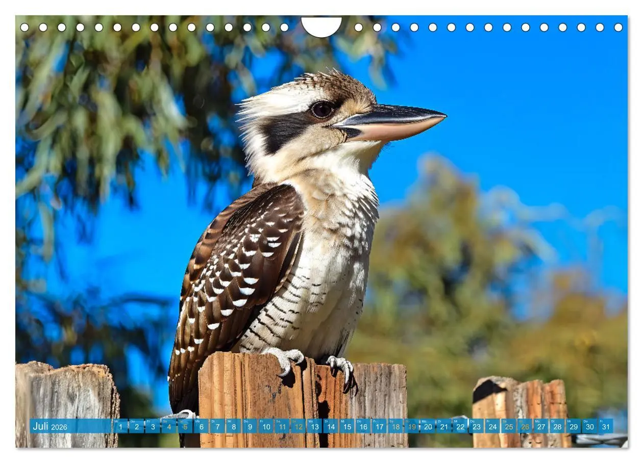 Bild: 9783457345979 | Der Kookaburra - Im australischen Busch mit dem lachenden Hans...