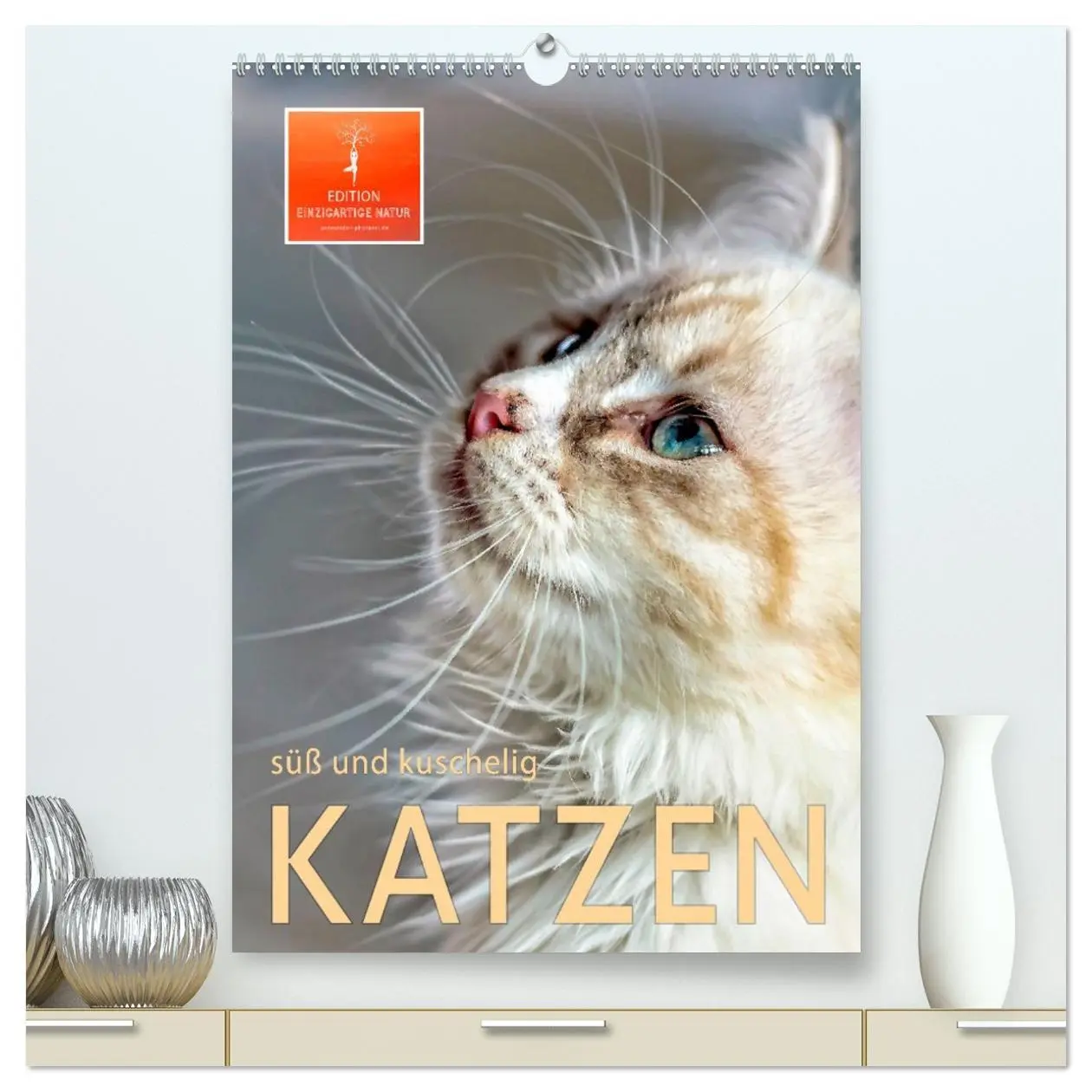Cover: 9783516365979 | Katzen - süß und kuschelig (hochwertiger Premium Wandkalender 2026...