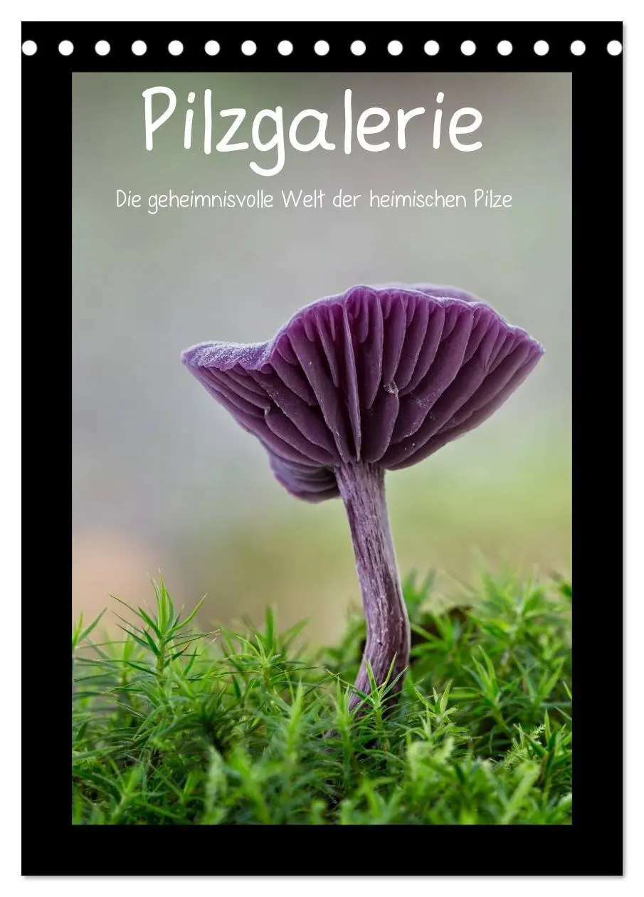 Cover: 9783516435979 | Pilzgalerie - Die geheimnisvolle Welt der heimischen Pilze...