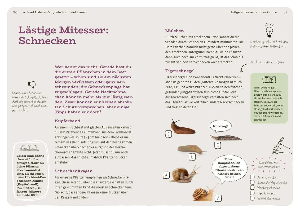 Bild: 9783818625979 | Dein Projekt. Dein Guide. Gärtnern mit Hochbeet | from zero to hero