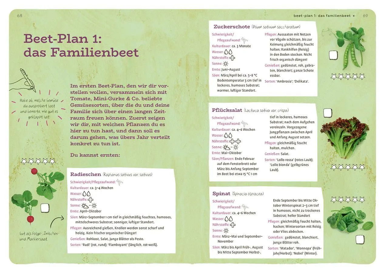 Bild: 9783818625979 | Dein Projekt. Dein Guide. Gärtnern mit Hochbeet | from zero to hero