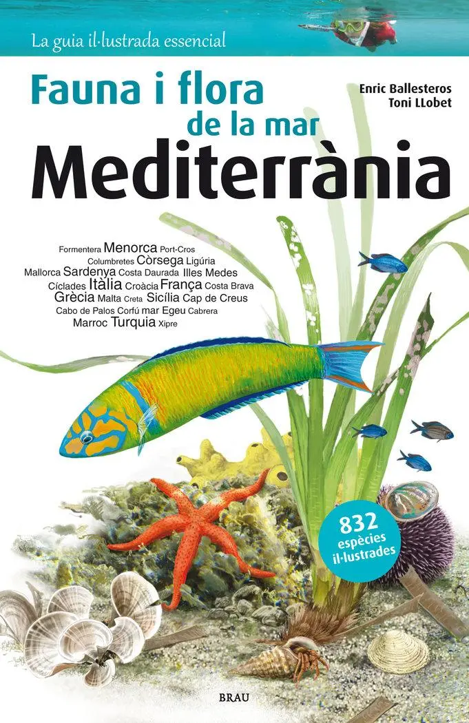 Cover: 9788415885979 | Flora i fauna de la mar Mediterrània | Sagarra (u. a.) | Taschenbuch
