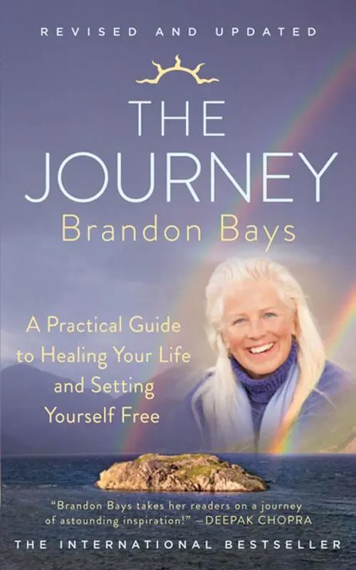 Cover: 9780007456079 | The Journey | Brandon Bays | Taschenbuch | Kartoniert / Broschiert