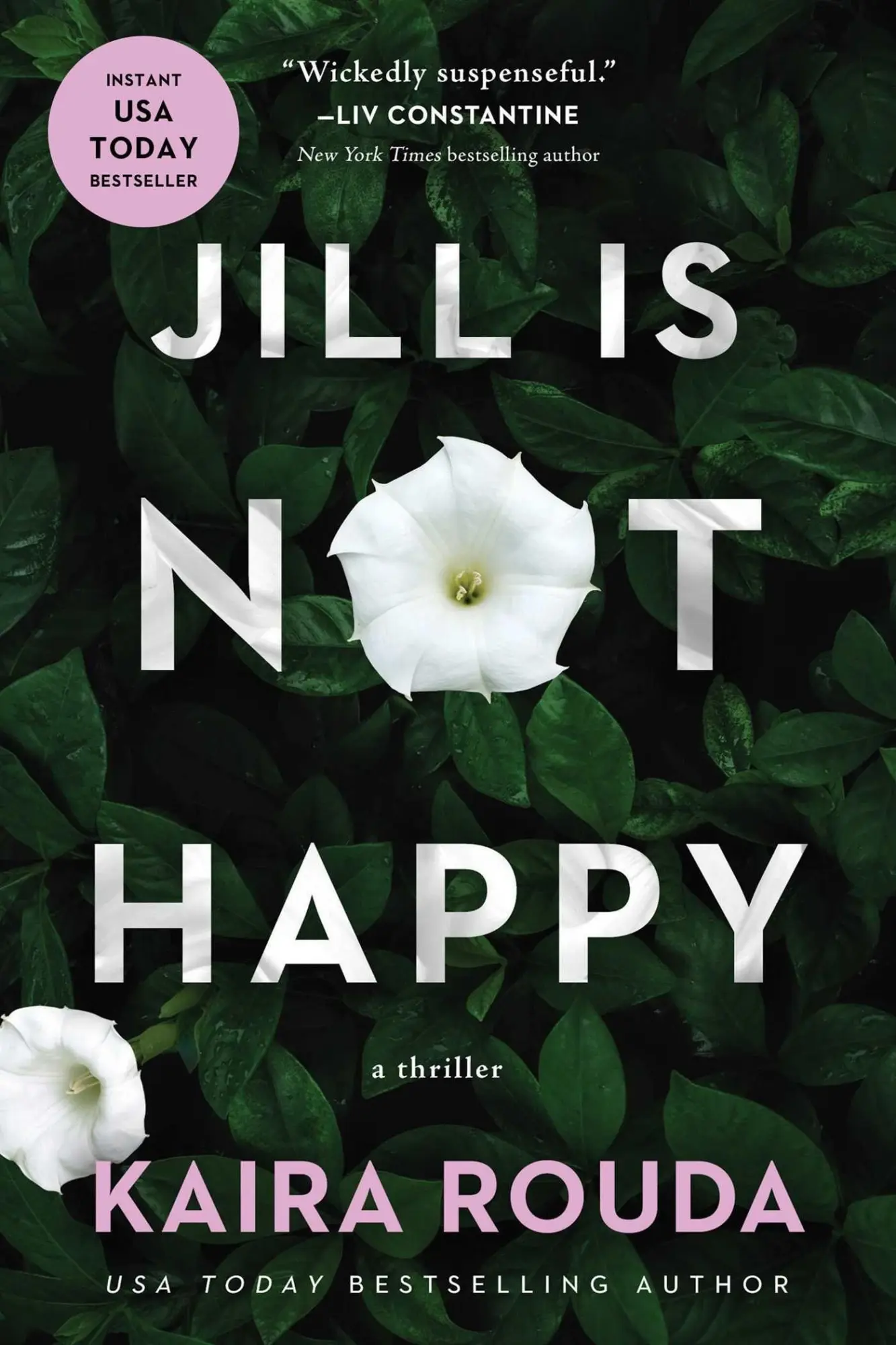 Cover: 9781613166079 | Jill Is Not Happy | Kaira Rouda | Taschenbuch | Englisch | 2025