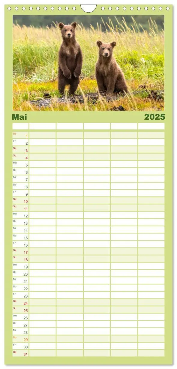 Bild: 9783457096079 | Familienplaner 2025 - Bären - Pandas, Grizzlybären und Co. mit 5...