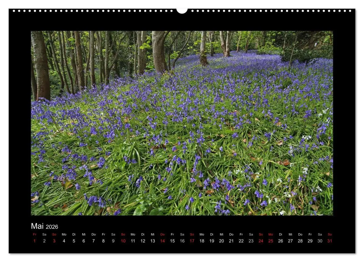 Bild: 9783516186079 | Kanalinseln 2026 (hochwertiger Premium Wandkalender 2026 DIN A2...
