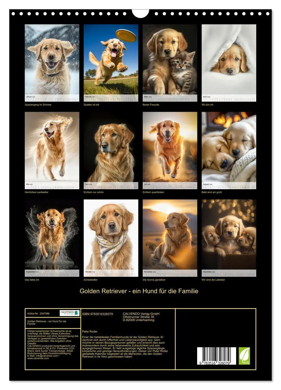 Bild: 9783516326079 | Golden Retriever - ein Hund für die Familie (Wandkalender 2026 DIN...