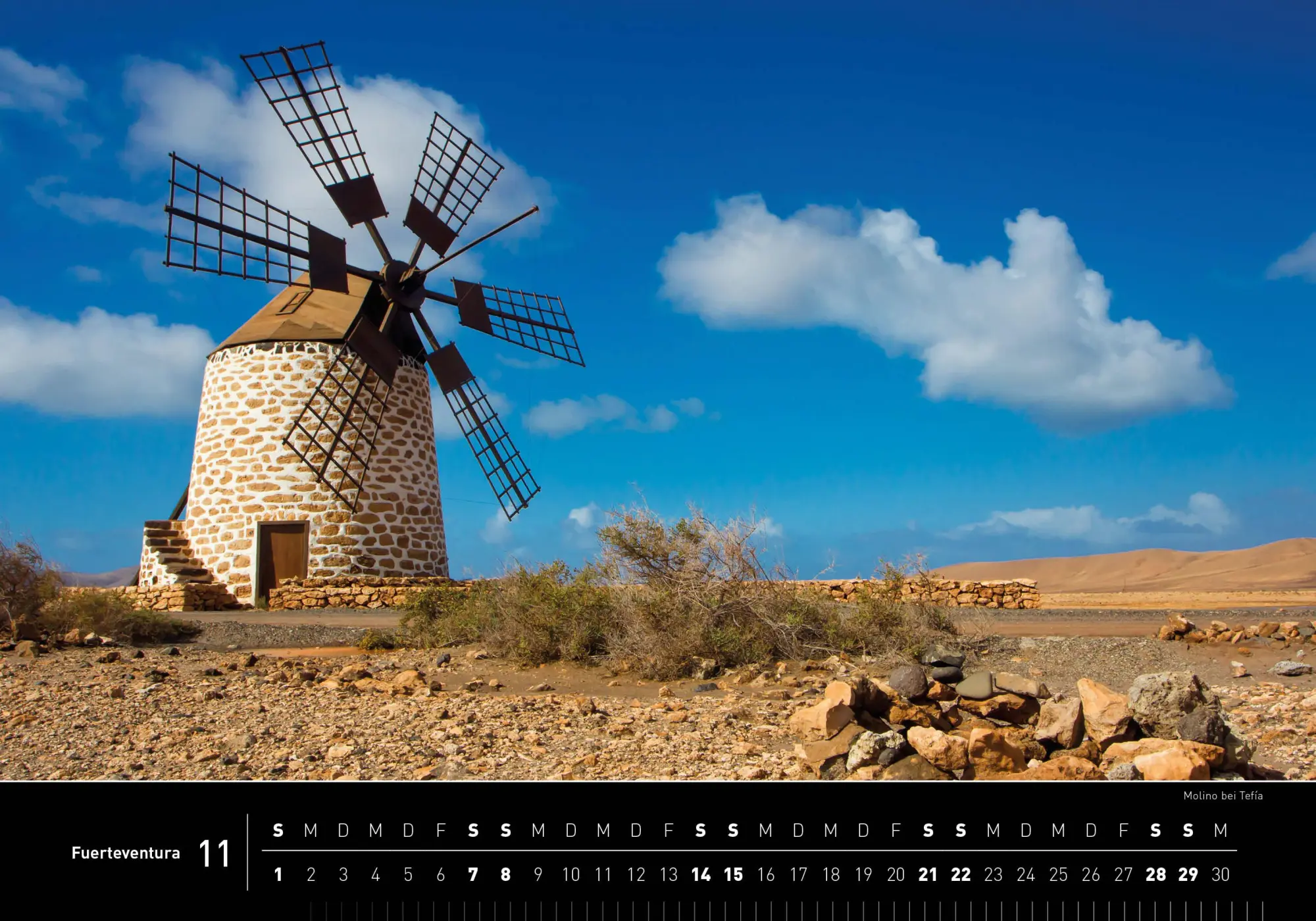 Bild: 9783968556079 | Fuerteventura Premiumkalender 2026 | Thomas Reich | Kalender | 14 S.