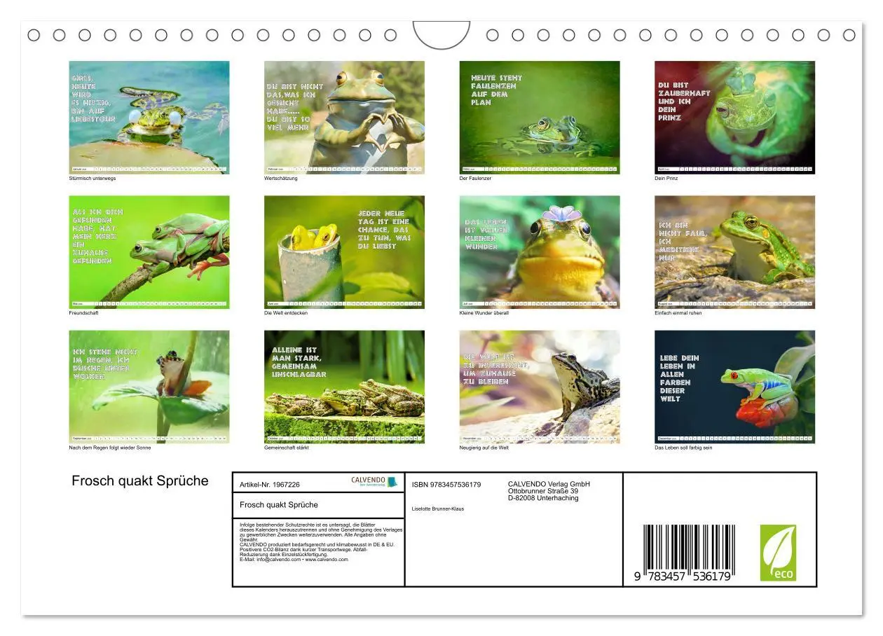 Bild: 9783457536179 | Frosch quakt Sprüche (Wandkalender 2026 DIN A4 quer), CALVENDO...