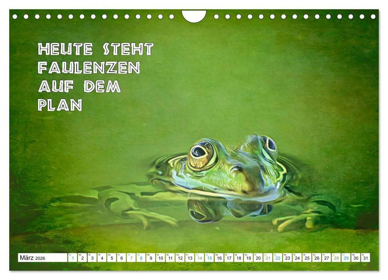 Bild: 9783457536179 | Frosch quakt Sprüche (Wandkalender 2026 DIN A4 quer), CALVENDO...