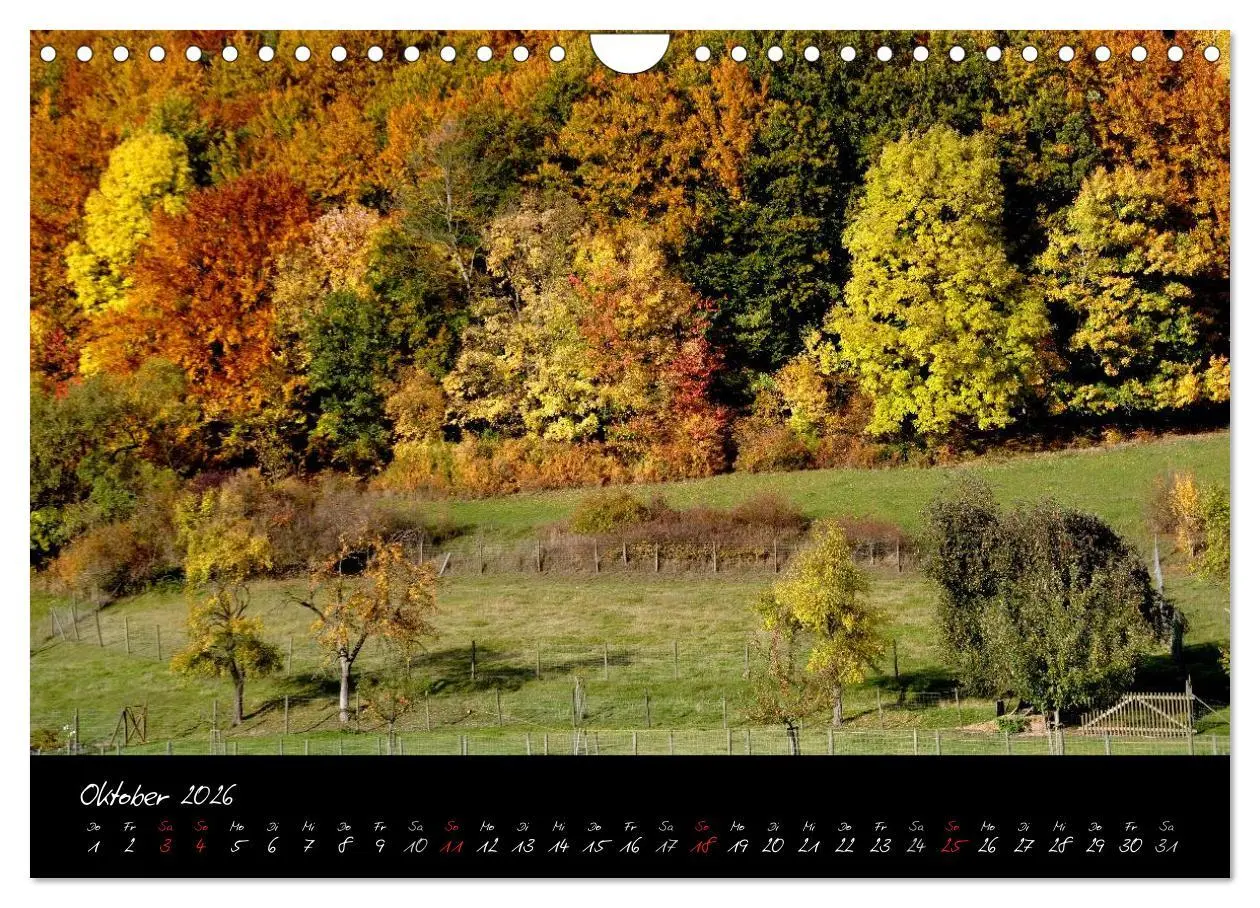 Bild: 9783516176179 | RHÖN = SCHÖN (Wandkalender 2026 DIN A4 quer), CALVENDO Monatskalender