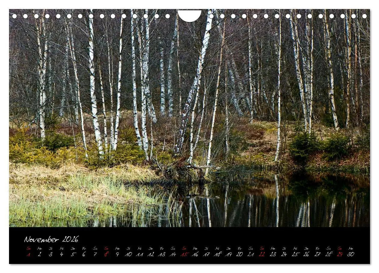 Bild: 9783516176179 | RHÖN = SCHÖN (Wandkalender 2026 DIN A4 quer), CALVENDO Monatskalender